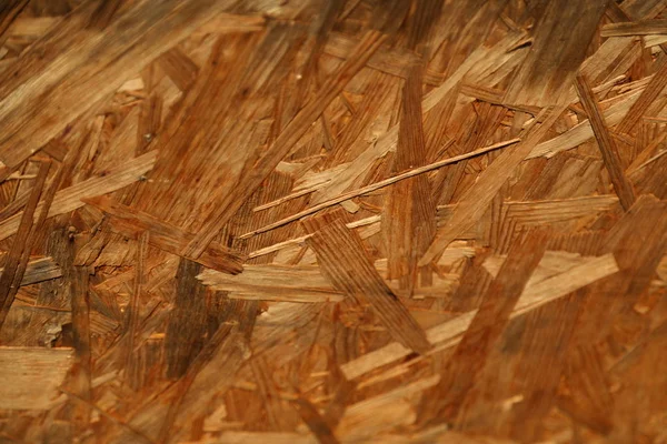 Абстрактная текстура дерева — стоковое фото