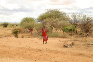 Masai Kabileleri Kenya Afrika 'da 27 Aralık 2019