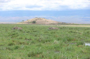 Mavi Gökyüzü ve Bulutlar