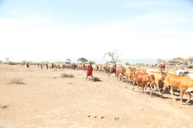 Masai Tribes In Kenya Africa 31st Jan 2020