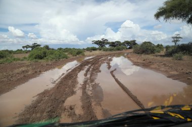 Hasarlı Kırsal Yol Kenya Afrika