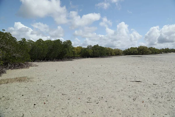 Prateleiras Unha Areia Mida Creek Quênia África — Fotografia de Stock