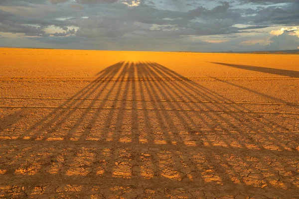 Tire Marks Desert — Stock Photo, Image