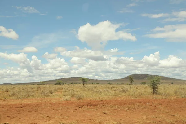 Τοποθεσία Masai Mara Κένυα Αφρική — Φωτογραφία Αρχείου