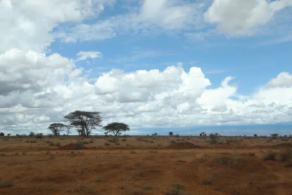 Путешествие Сельской Дороге Кении — стоковое фото