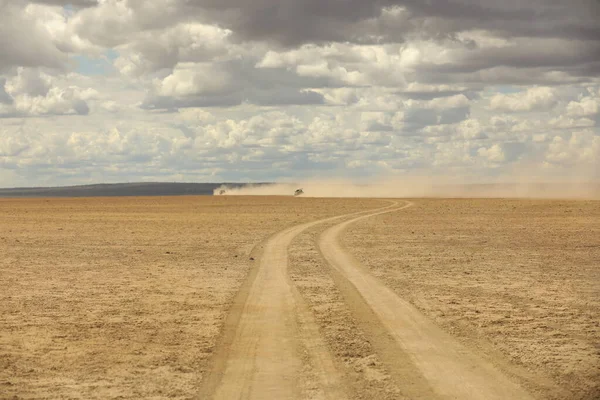 Марки Шин Пустыне — стоковое фото