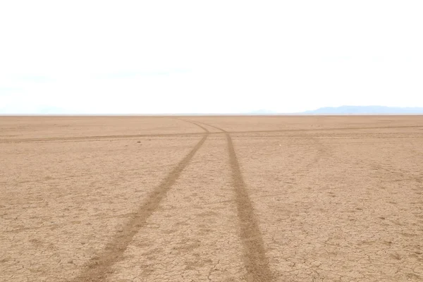 Tire Marks Desert — Stock Photo, Image