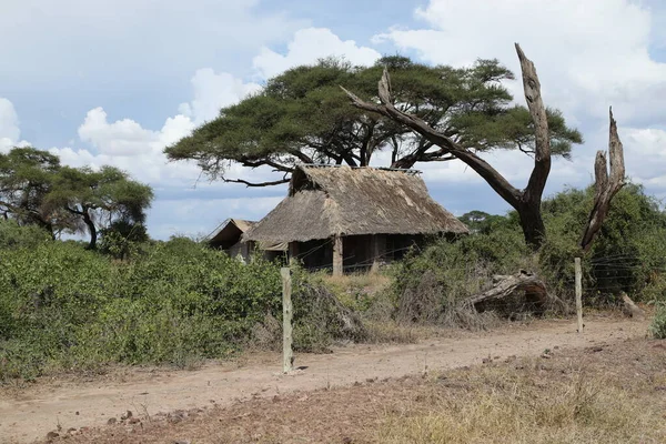 Τοποθεσία Masai Mara Κένυα Αφρική — Φωτογραφία Αρχείου