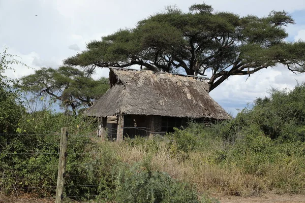Ubicación Masai Mara Kenia África —  Fotos de Stock