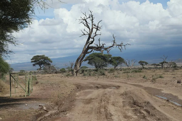 Ruta Rural Dañada Kenia África — Foto de Stock