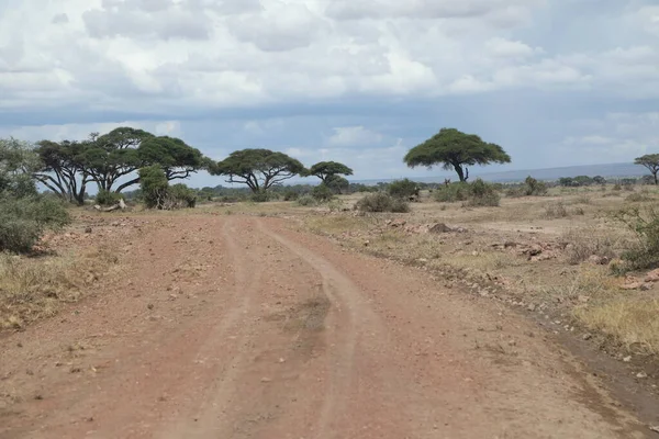 Ruta Rural Dañada Kenia África — Foto de Stock