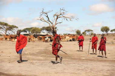 Masai Kabileleri Kenya Afrika 'da 31 Ağustos 2019
