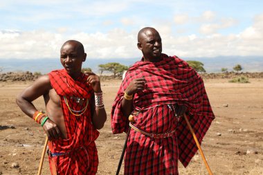 Masai Kabileleri Kenya Afrika 'da 31 Ağustos 2019