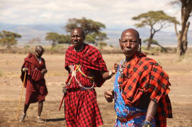 Masai Kabileleri Kenya Afrika 'da 31 Ağustos 2019