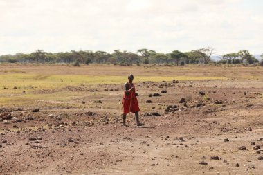 Masai Kabileleri Kenya Afrika 'da 31 Ağustos 2019