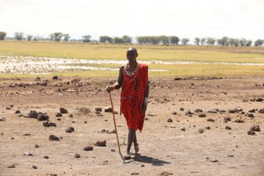 Masai Kabileleri Kenya Afrika 'da 31 Ağustos 2019