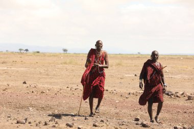 Masai Kabileleri Kenya Afrika 'da 31 Ağustos 2019