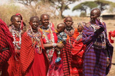 Masai Kabileleri Kenya Afrika 'da 25 Eylül 2019