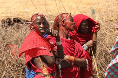Masai Kabileleri Kenya Afrika 'da 25 Eylül 2019