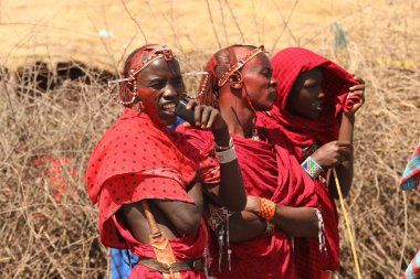 Masai Kabileleri Kenya Afrika 'da 31 Ağustos 2019