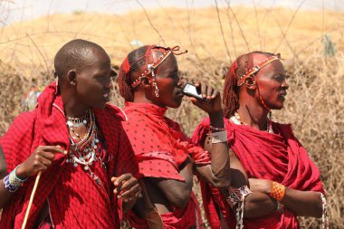 Masai Kabileleri Kenya Afrika 'da 31 Ağustos 2019