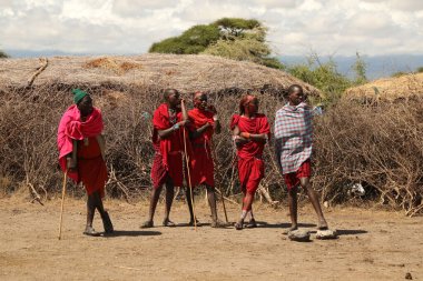 Masai Kabileleri Kenya Afrika 'da 31 Ağustos 2019