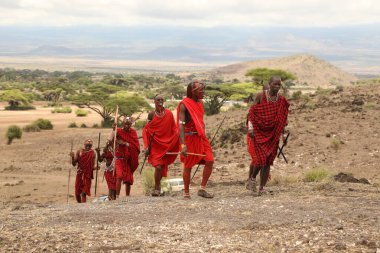 Masai Kabileleri Kenya Afrika 'da 31 Ağustos 2019