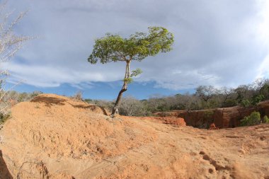 Malindi Kenya Afrika Hells Mutfak Kanyon