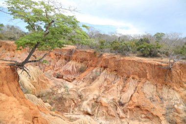 Malindi Kenya Afrika Hells Mutfak Kanyon