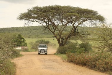 Hintli film ekibi Haydarabad Hindistan 'da 30 Haziran 2019