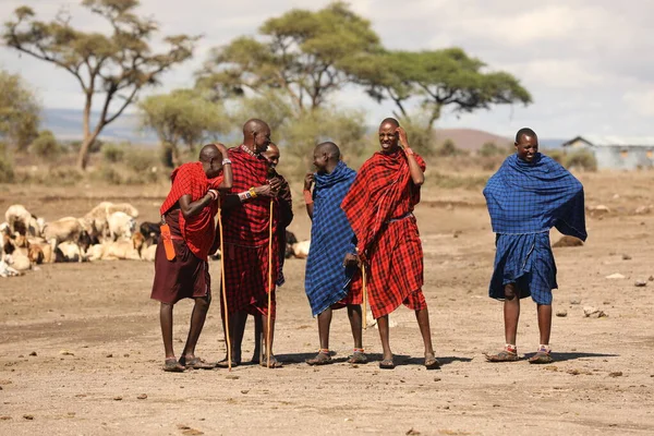 Masai Kabileleri Kenya Afrika 'da 31 Ağustos 2019