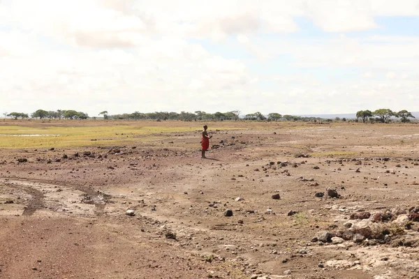 Tribus Masai Kenia África Agosto 2019 — Foto de Stock