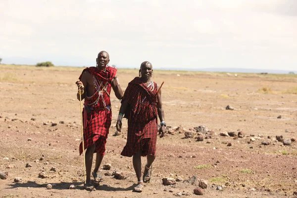 Masai Kabileleri Kenya Afrika Eylül 2019 — Stok fotoğraf