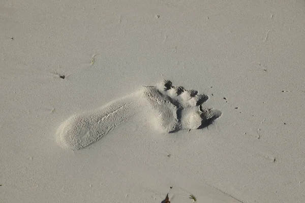 Foot print in a sand