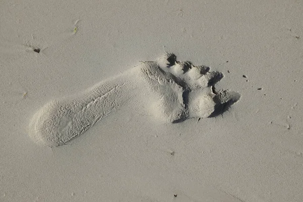 Foot print in a sand