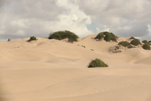 Deserto Areia Dubai — Fotografia de Stock