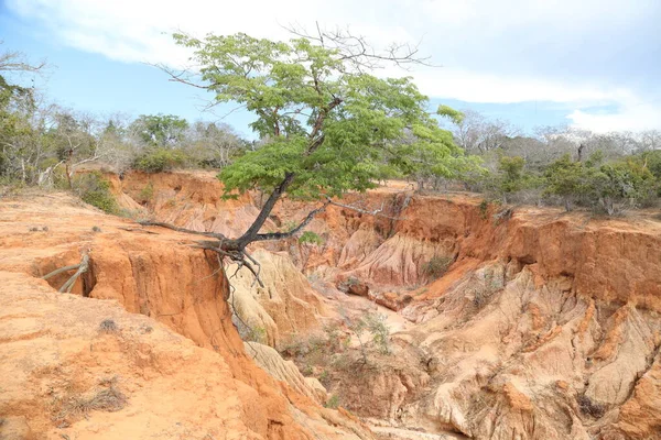 Malindi Kenya Afrika Hells Mutfak Kanyon — Stok fotoğraf