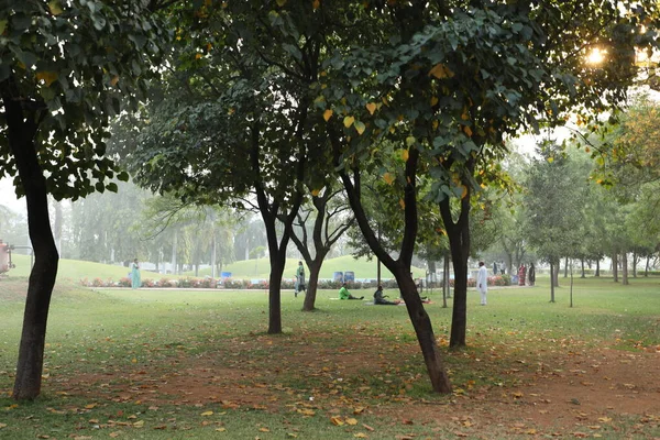 Caminhantes Manhã Parque — Fotografia de Stock