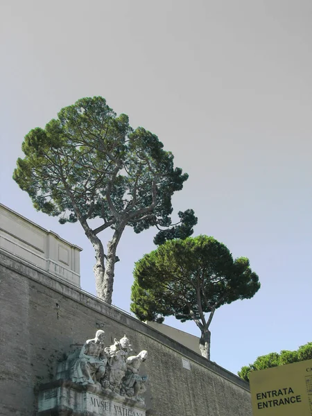 Vatikan Saint Peter Meydanı Roma Talya — Stok fotoğraf