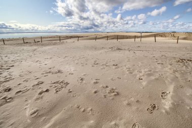  Dunes - Slowinski Ulusal Parkı - Leba - Polonya