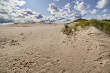 Dunes - Slowinski Ulusal Parkı - Leba - Polonya