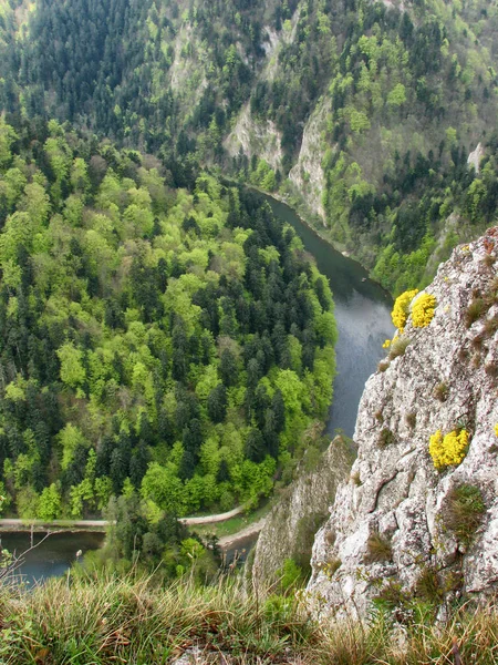 Dunajec vadisinde rafting - Pieniny Dağları - Polonya