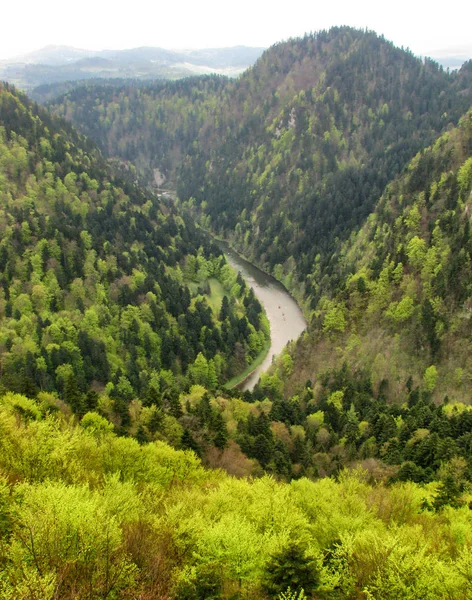 ドゥナジェク峡谷を下りラフティング Pieninine Mountains ポーランド — ストック写真