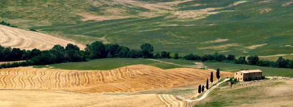Toscana Cipres Heuvel Italië — Stockfoto