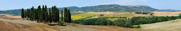 Toscana Cypress Hill Itálii — Stock fotografie