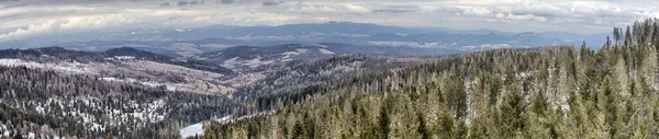 Vista Pieniny Três Coroas Peak Stromov Cidade Eslováquia — Fotografia de Stock