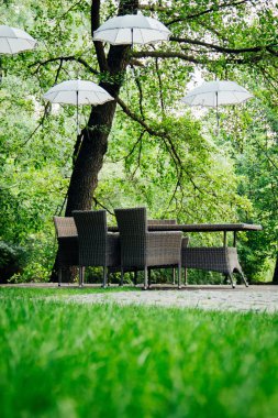 Ağaçların üzerinde bahçede şemsiyeler