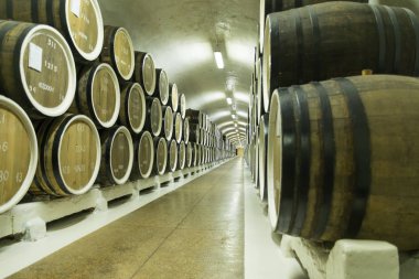 Şarap fıçıları bodrumda saklanan