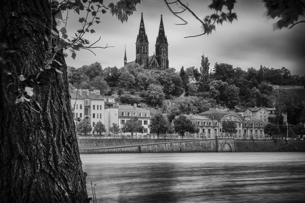 Vyehrad prague über der Moldau — Stockfoto