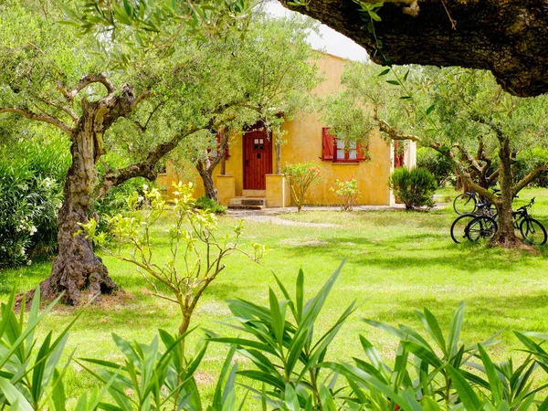 Familie classic gele rode Griekse villa appartementen hotel huis onder de olijfbomen groene tuin. Griekenland vakanties op de Griekse eilanden — Stockfoto